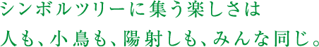 シンボルツリーに集う楽しさは人も、小鳥も、陽射しも、みんな同じ。