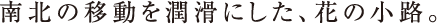 南北の移動を潤滑にした、花の小路。