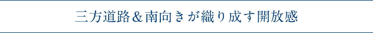 三方道路＆南向きが織り成す開放感