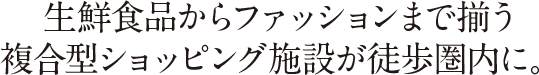 生鮮食品からファッションまで揃う複合型ショッピング施設が徒歩圏内に。