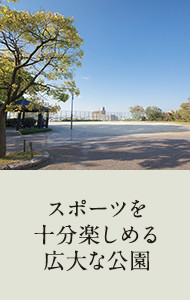 スポーツを十分楽しめる広大な公園