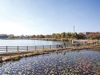 新海池公園